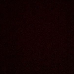 Returning bookbag and papillon